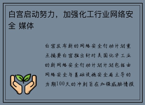 白宫启动努力，加强化工行业网络安全 媒体